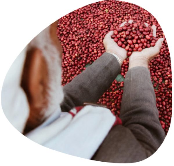 yemeni-coffee1